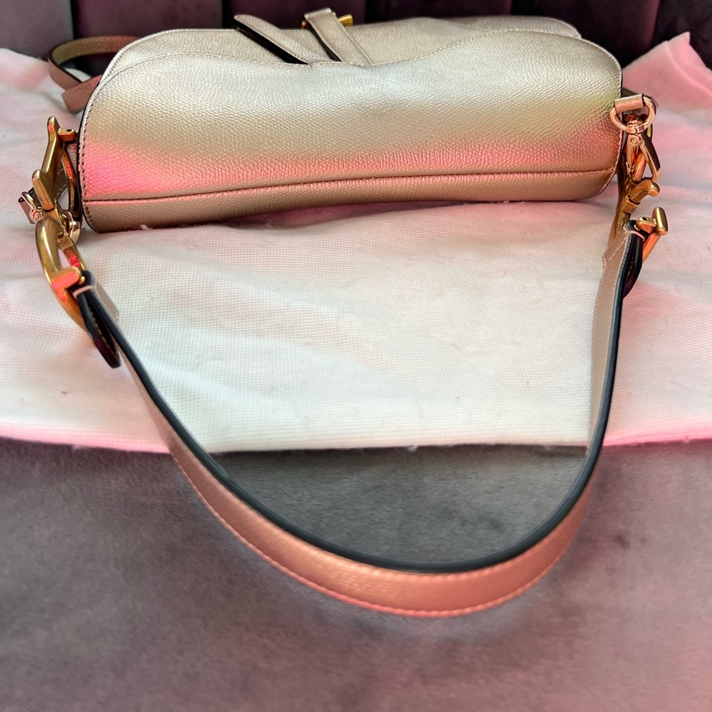 Dior saddle bag ultra rare champagne gold - Picture 8 of 15